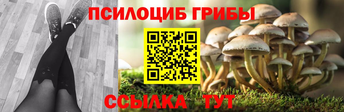 Псилоцибиновые грибы MAGIC MUSHROOMS Казань